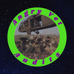 Angry Vet Audits Avatar