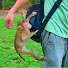 CU6rCyLeryY-channel-avatar-Funny monkeys