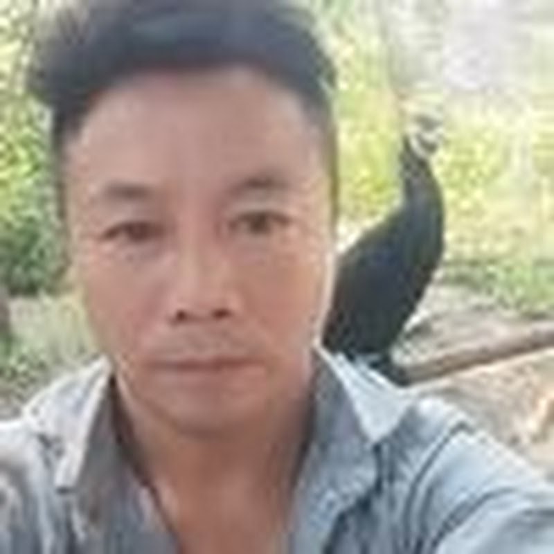 我就是我不一样的烟火