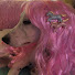 XSieou2uMdk-channel-avatar-sashka psink^_−