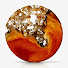 21mlfZHPsGY-channel-avatar-Di Tocker Glass