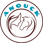 Anouck - Comportementaliste équin