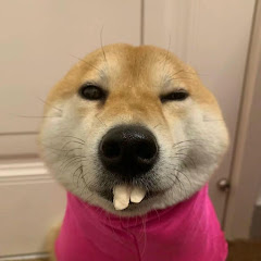 Không Não Audio