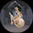@forever_myselfrblx