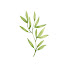 U2SP_u9dEeA-channel-avatar-Semillas Santas