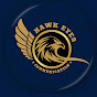 Hawk Eyes Communication logo