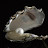 @Oyster-h3c