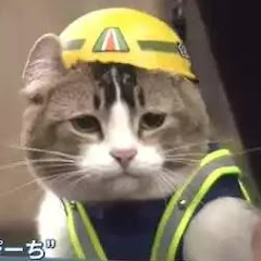 スポーツ日常まとめちゃんねるアイコン画像