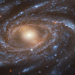 @にゃんち.com_anai