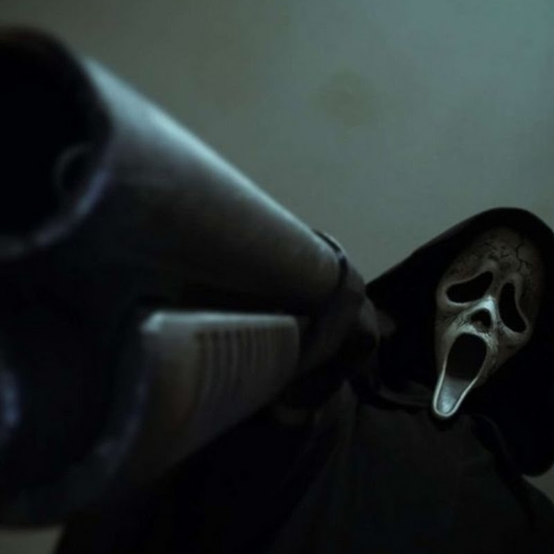 v.h.s.x