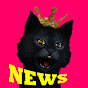 黒猫のくろの口コミニュース