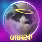 Catlife247 logo