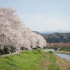 私の日本風景コレクションアイコン画像