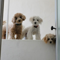 『サザンオールスターズと建築を愛する歌人』　還暦岡山キモ	はる‼️