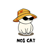 NO1 CAT
