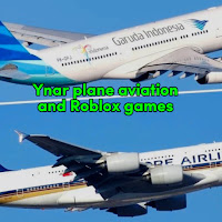 Ynar plane aviation and Roblox games profile image