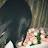 @samiraelmahdy4072