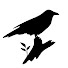 -yXBnAL7dIo-channel-avatar-Wings and Wildlands