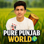 Punjab Roots logo