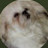 @mommyNbaby4ever Avatar