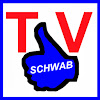 What could SchwabTV buy with $238.61 thousand?
