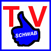 What could SchwabTV buy with $238.6 thousand?