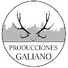 What could Producciones Galiano buy with $181.72 thousand?