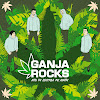 What could GanjaRocksOfficial buy with $100 thousand?