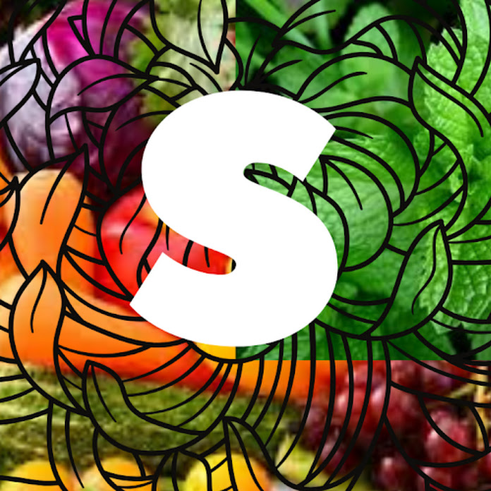 avanlife Net Worth & Earnings (2026)