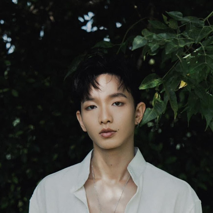 Hoàng Dũng Net Worth & Earnings (2026)