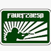 What could fauerzaesp buy with $100 thousand?