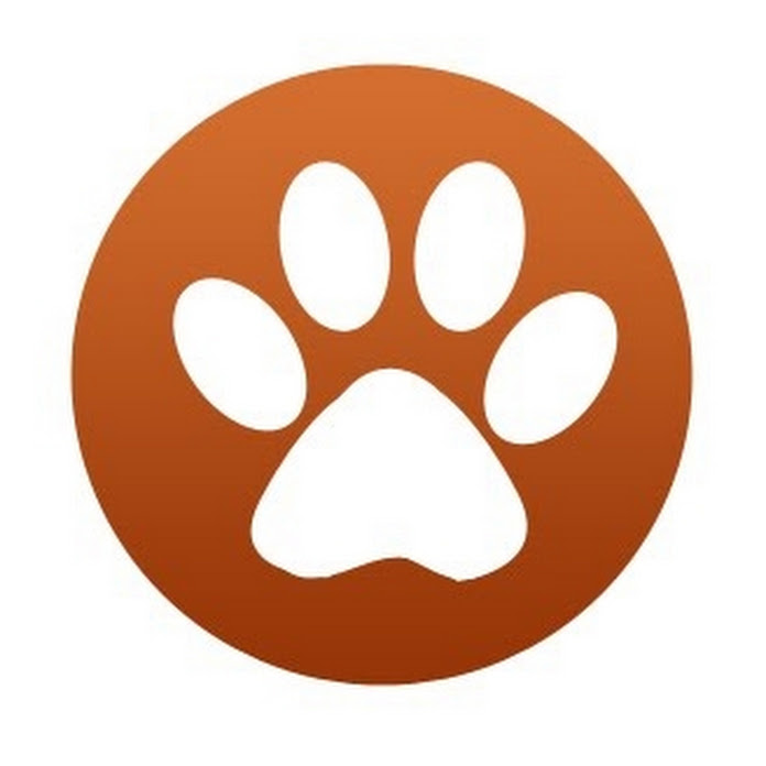 MercolaHealthyPets Net Worth & Earnings (2026)
