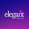 What could Elegant Themes buy with $103.05 thousand?