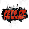 What could CATS UPS AND DOWNS buy with $100 thousand?