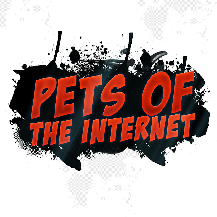 CATS UPS AND DOWNS Net Worth & Earnings (2026)