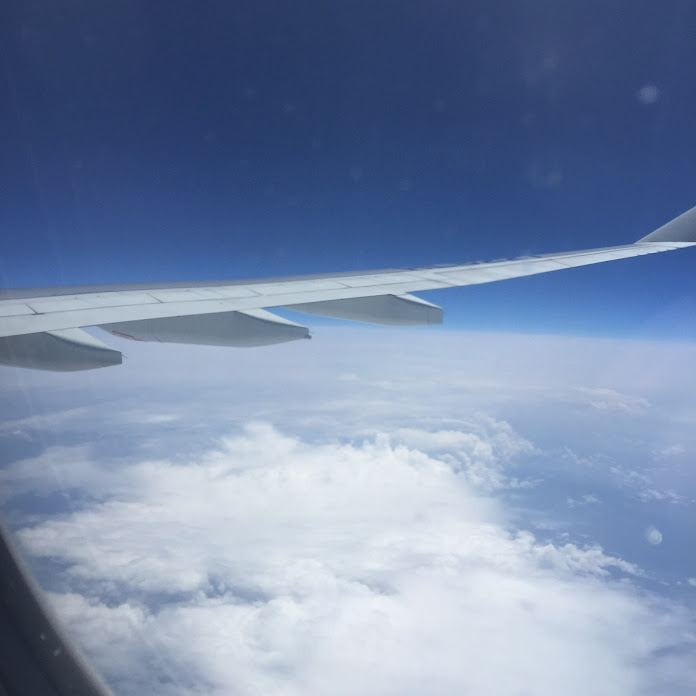 Sleeppage Net Worth & Earnings (2026)