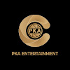 What could PKA Film Group buy with $100 thousand?