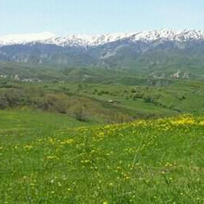 Sanat Kültür Net Worth & Earnings (2026)