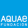 What could Fundación Aquae buy with $100 thousand?