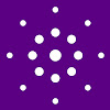 What could Orchideli buy with $212.1 thousand?