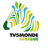 What could TV5MONDE Afrique buy with $105.4 thousand?