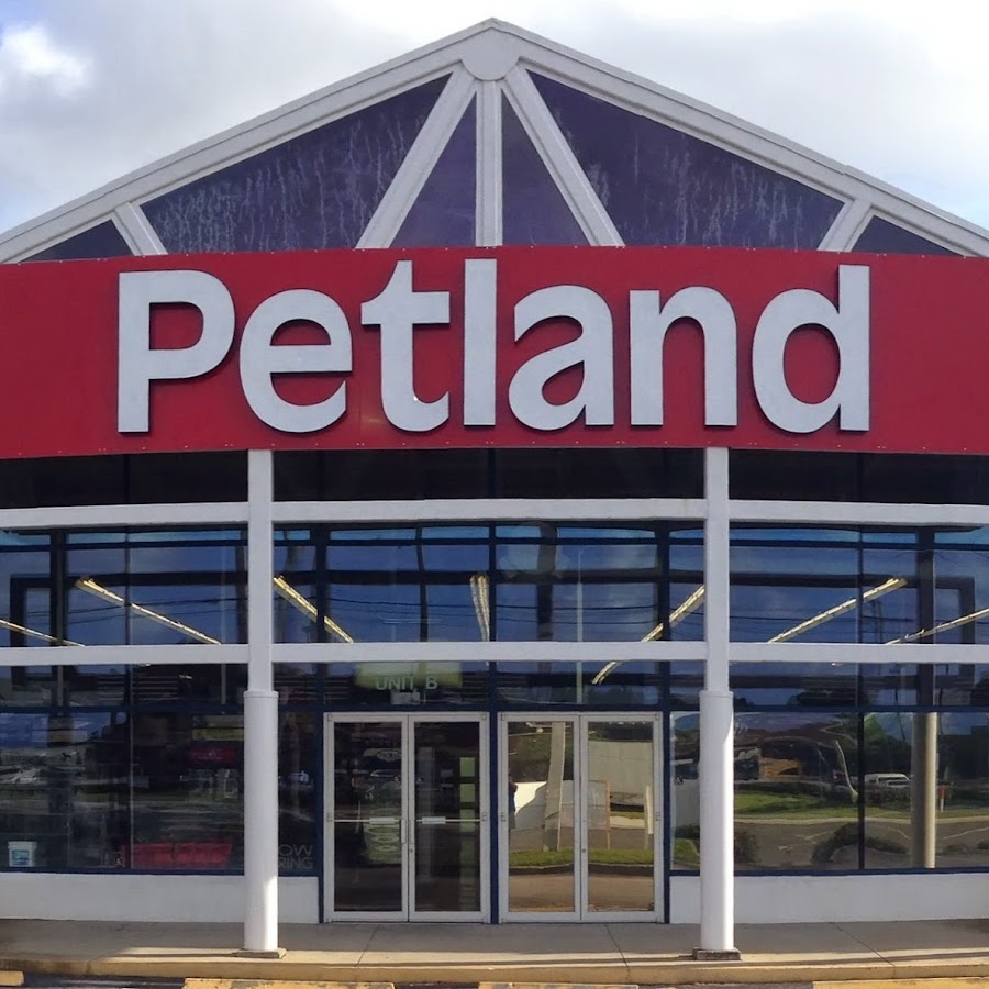Petland Largo YouTube