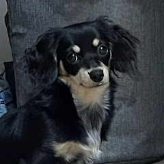 noa noa