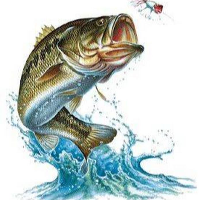 Рыбалка Охота Net Worth & Earnings (2026)