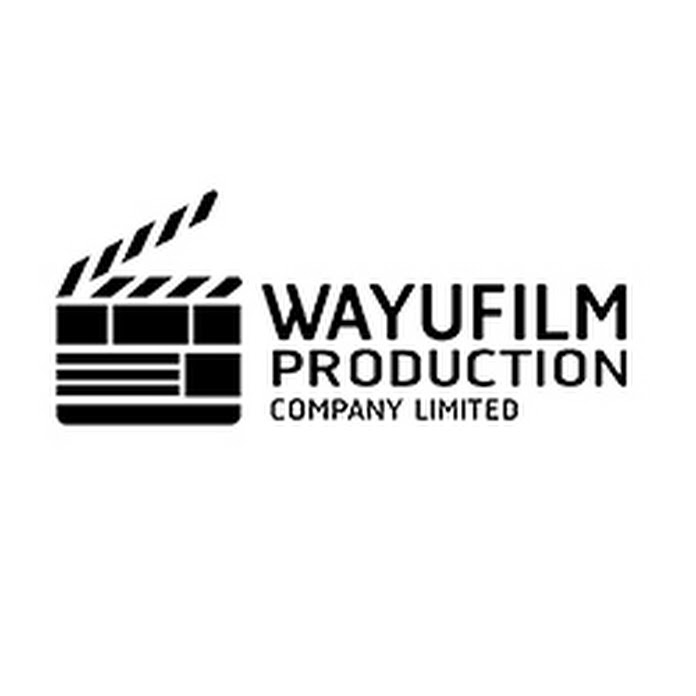 Wayufilm Production Net Worth & Earnings (2023)