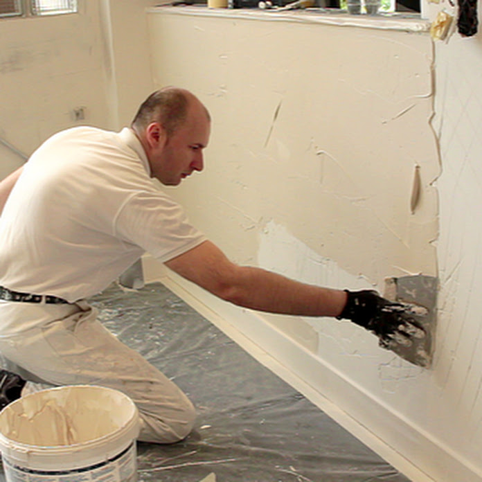 D.i.S VINCENNES Net Worth & Earnings (2026)