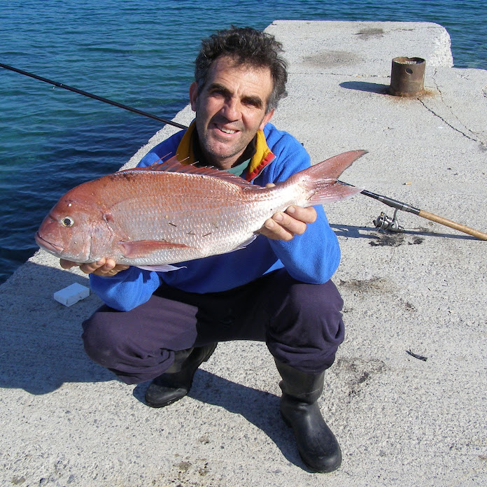 sotosvasi Net Worth & Earnings (2026)