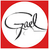 What could Gael TV buy with $332.28 thousand?