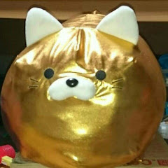 きんねこチャンネル