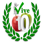 VIVE10 Net Worth